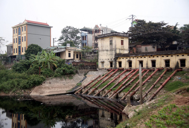 Hà Nội: Nước ô nhiễm nặng, bốc mùi nồng nặc vẫn phải bơm lên tưới cho hoa màu